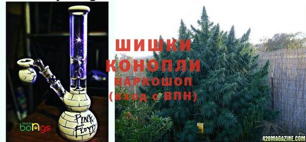 амф Аркадак