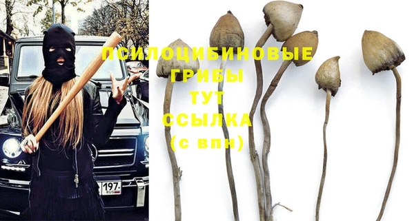 синтетический гашиш Арсеньев
