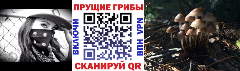 закладки  Ивдель  Галлюциногенные грибы Magic Shrooms 